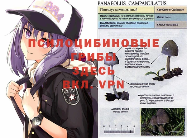 прущие крисы Ельня