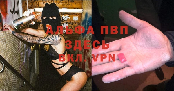 прущие крисы Ельня