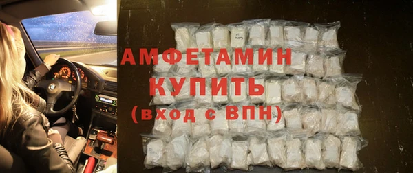 прущие крисы Ельня