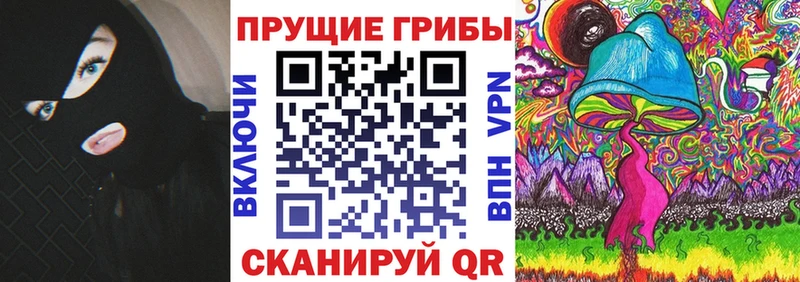 Псилоцибиновые грибы Psilocybine cubensis  Купить  Приозерск 
